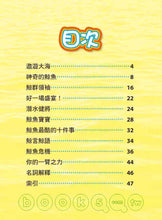 Load image into Gallery viewer, 大遷徙兒童版(一套四冊,附精美書盒)