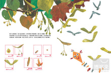 Load image into Gallery viewer, 一顆種子的旅行