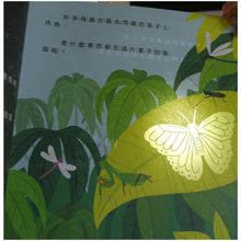 Load image into Gallery viewer, 光影魔術:熱帶雨林的祕密