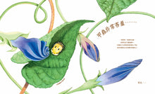 Load image into Gallery viewer, A Beetle is Shy害羞的甲蟲