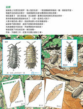 Load image into Gallery viewer, 森林裡的土壤製造機:雜木林的生態繪本