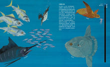 Load image into Gallery viewer, 通往海底的奇妙旅程