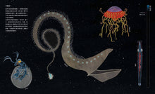 Load image into Gallery viewer, 通往海底的奇妙旅程