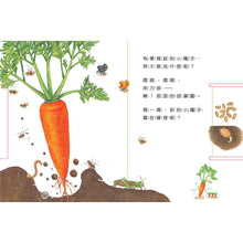 Load image into Gallery viewer, Grow Up Little Seed(Vegetables) 種子,快長大(蔬菜篇)