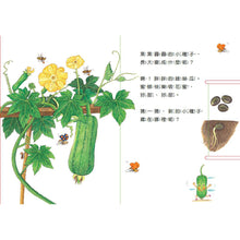 Load image into Gallery viewer, Grow Up Little Seed(Vegetables) 種子,快長大(蔬菜篇)