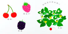 Load image into Gallery viewer, I Love Fruit 我愛吃水果