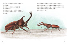Load image into Gallery viewer, 科學不思議1:昆蟲量體重