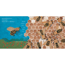 Load image into Gallery viewer, 大自然的藝術家:不可思議的線條和形狀