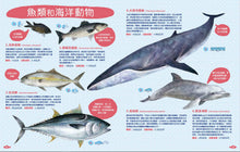 Load image into Gallery viewer, 世界上有哪些魚?:魚類、海洋動物與牠們生活的大海