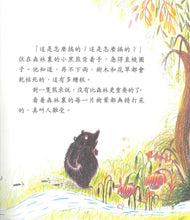 Load image into Gallery viewer, 愛和星星聊天的青蛙