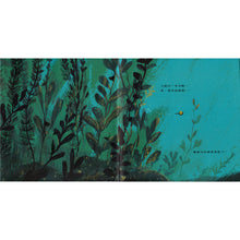 Load image into Gallery viewer, 小蝌