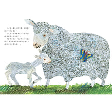 Load image into Gallery viewer, 大師精選系列 艾瑞.卡爾