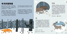 Load image into Gallery viewer, Wild Animals in the Winter World 冬天裡的動物世界:神奇的動物過冬與生態地圖