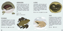 Load image into Gallery viewer, Wild Animals in the Winter World 冬天裡的動物世界:神奇的動物過冬與生態地圖
