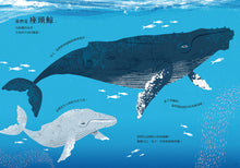 Load image into Gallery viewer, 當動物踏上遷徙的旅程