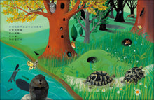 Load image into Gallery viewer, 動物建築師