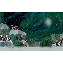 Load image into Gallery viewer, 月亮:夜晚擁抱的世界