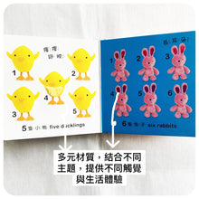 Load image into Gallery viewer, DK寶寶觸覺認知書:數一數