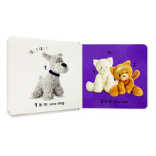 Load image into Gallery viewer, DK寶寶觸覺認知書:數一數