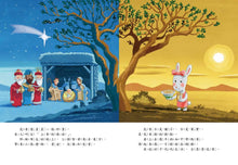 Load image into Gallery viewer, 乳香樹天空:認識公平貿易(限量附贈-檸檬精油)