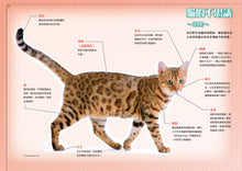 Load image into Gallery viewer, 哆啦A夢知識大探索1:百變貓咪召喚機