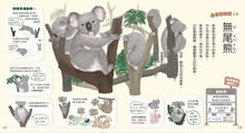 Load image into Gallery viewer, Everyone visit the zoo 大家來逛動物園(新版)