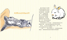 Load image into Gallery viewer, 凱迪克大獎9:兔子棉花糖狂想曲【即使是競爭對手,也能成為好朋友!】