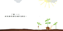 Load image into Gallery viewer, 壓一壓、澆澆水,魔法種子!