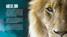 Load image into Gallery viewer, WOW!驚喜百科1:用AR認識動物
