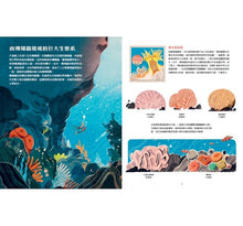 Load image into Gallery viewer, 大堡礁+聖母峰 (套書) : 走訪世界,開創視野