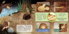 Load image into Gallery viewer, 動物小知識翻翻書:這是誰的家?