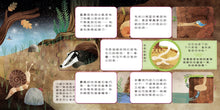 Load image into Gallery viewer, 動物小知識翻翻書:這是誰的家?