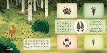 Load image into Gallery viewer, 動物小知識翻翻書:這是誰的腳印?