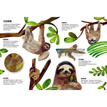 Load image into Gallery viewer, 動物偽裝大師:是誰躲在裡面?