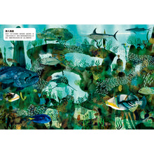 Load image into Gallery viewer, 動物偽裝大師:是誰躲在裡面?