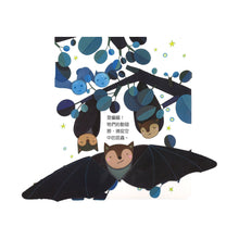 Load image into Gallery viewer, 偷偷看一下:有趣的夜晚