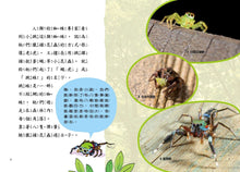 Load image into Gallery viewer, 蟲小看世界1:綠野蛛蹤