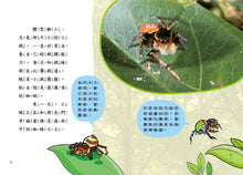 Load image into Gallery viewer, 蟲小看世界1:綠野蛛蹤