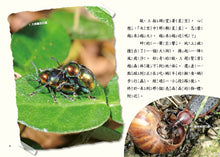 Load image into Gallery viewer, 蟲小看世界3:蟲小練武功