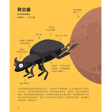 Load image into Gallery viewer, 不可思議的動物大集合
