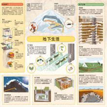 Load image into Gallery viewer, 童話知識小百科翻翻書3 跟著白雪公主探索地底世界