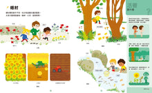 Load image into Gallery viewer, 好奇心圖解大百科6奇妙自然(SDGs閱讀書房)