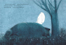 Load image into Gallery viewer, 熊夢蝶 蝶夢熊(雙封面設計+獨家書衣珍藏版)