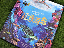 Load image into Gallery viewer, 拯救海龜
