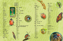 Load image into Gallery viewer, 國家地理 終極昆蟲百科:史上最完整的昆蟲大全(新版)