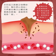 Load image into Gallery viewer, 我為什麼會流血?