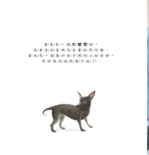 Load image into Gallery viewer, 蘇菲亞的小秘密【與蘇菲亞年紀相仿的你,說不定你們都把秘密藏於同一個地方喔!】