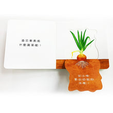 Load image into Gallery viewer, 蔬菜長大囉!