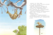 Load image into Gallery viewer, 小象歐利找弟弟