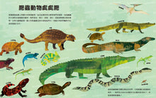 Load image into Gallery viewer, 好多好多的爬蟲